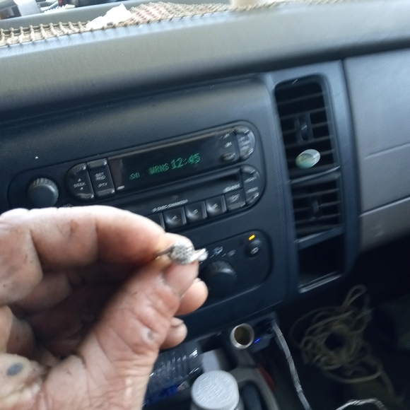 Meet your Posher, Eva - Picture 8 of 9